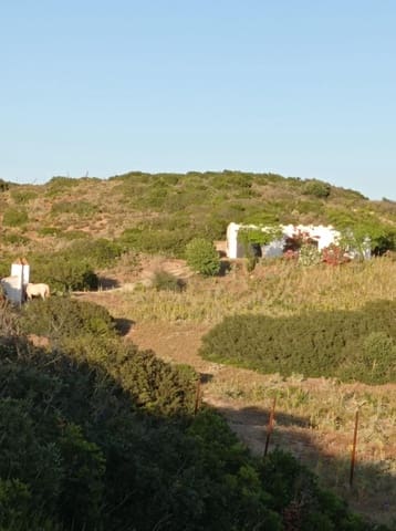 Building Plot for sale in Medina-Sidonia - € 154,000 (Ref: 8825232)