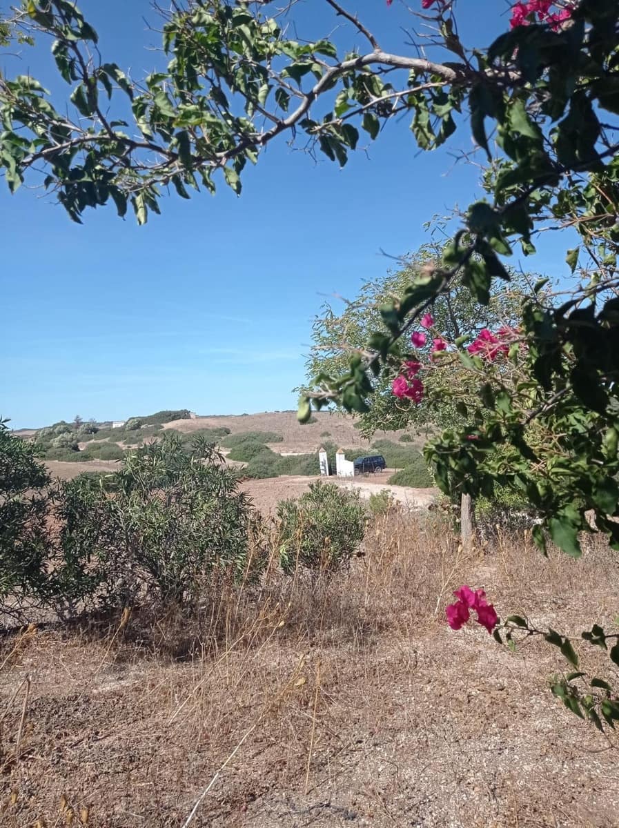 Byggetomt til salgs i Medina-Sidonia - € 154 000 (Ref: 8825232)