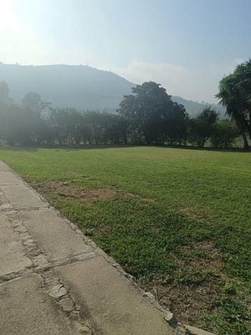 4 chambre Villa/Maison à vendre à Vejer de la Frontera avec piscine - 950 000 € (Ref: 8841186)