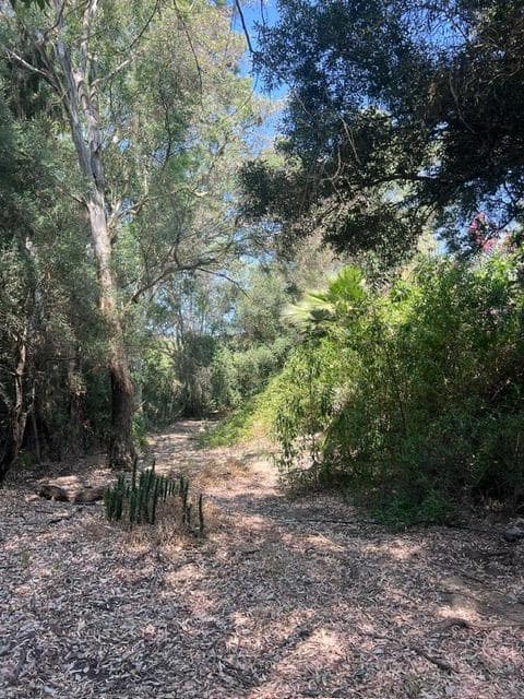 Finca/Landehus til salg i Vejer de la Frontera - € 100.000 (Ref: 8851694)