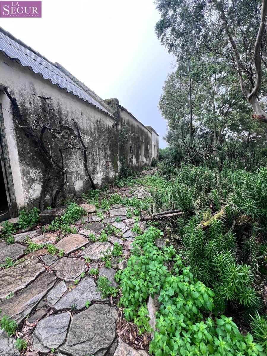 Finca/Landehus til salg i Vejer de la Frontera - € 100.000 (Ref: 8851694)