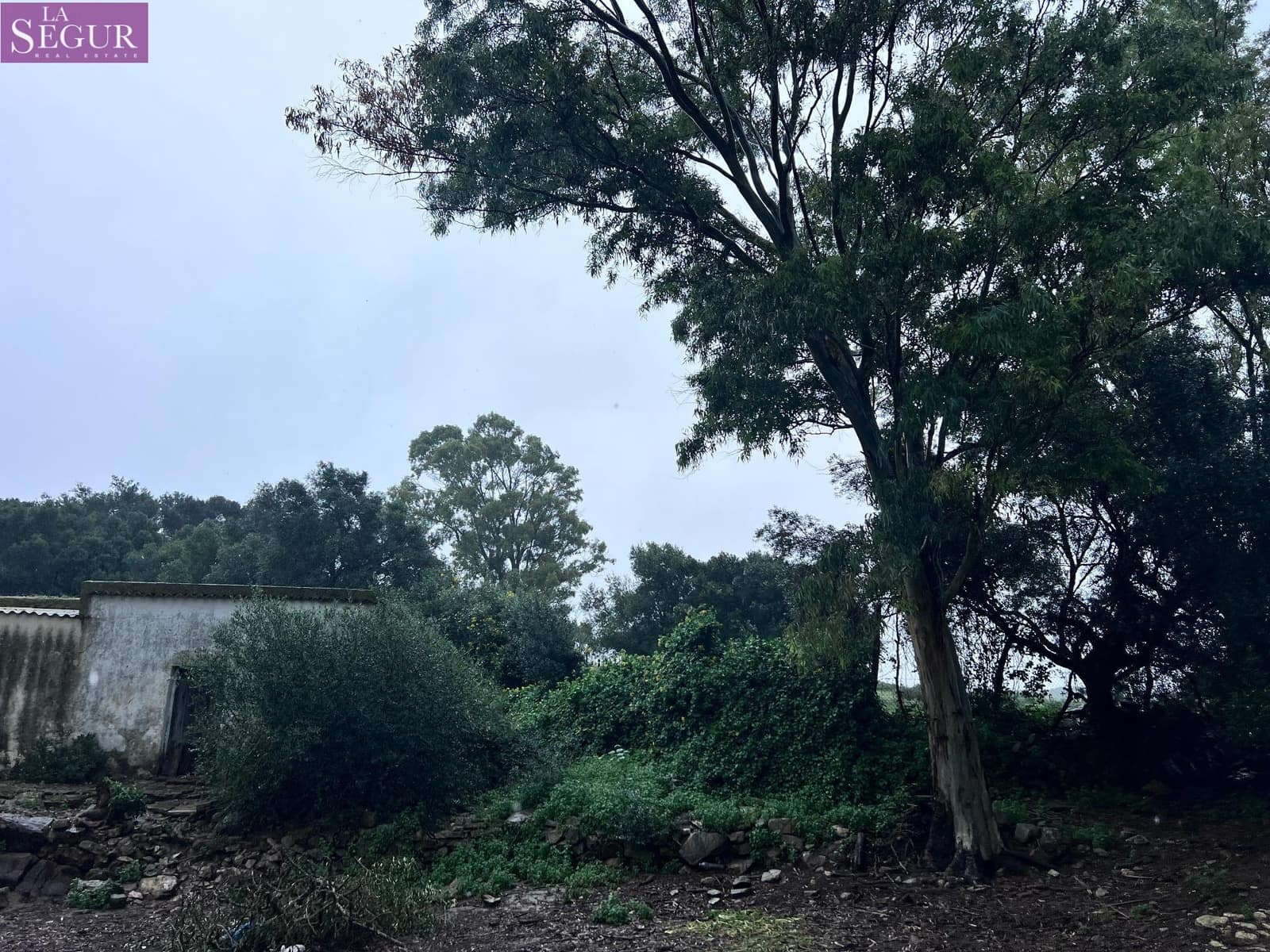 Finca/Landehus til salg i Vejer de la Frontera - € 100.000 (Ref: 8851694)