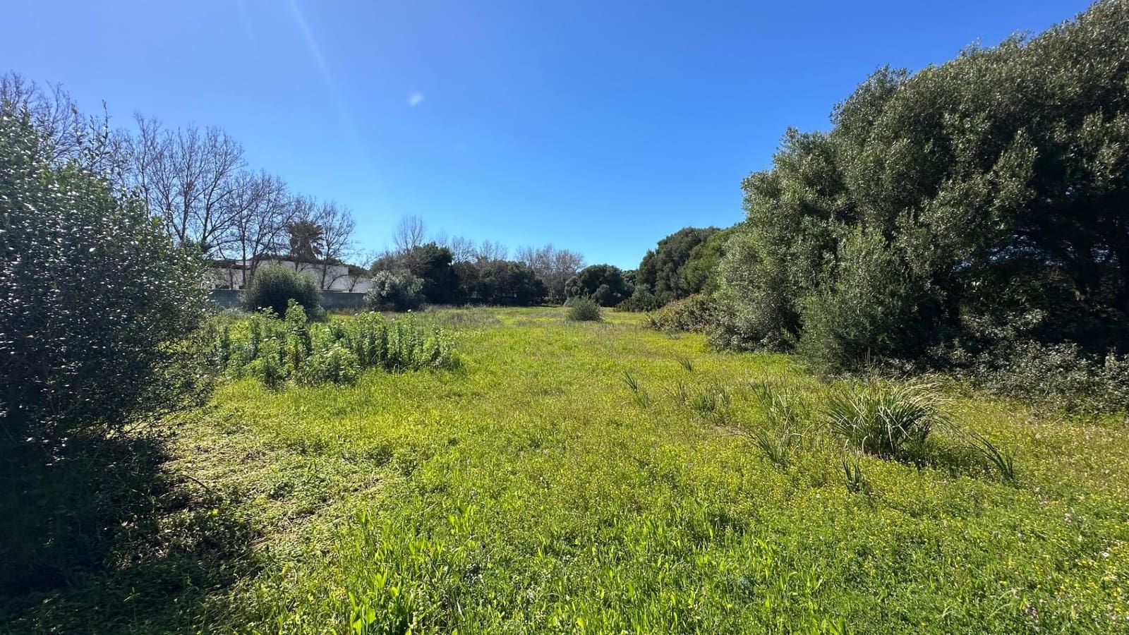 Grunde uden byggetilladelser til salg i Zahora - € 1.100.000 (Ref: 8900043)