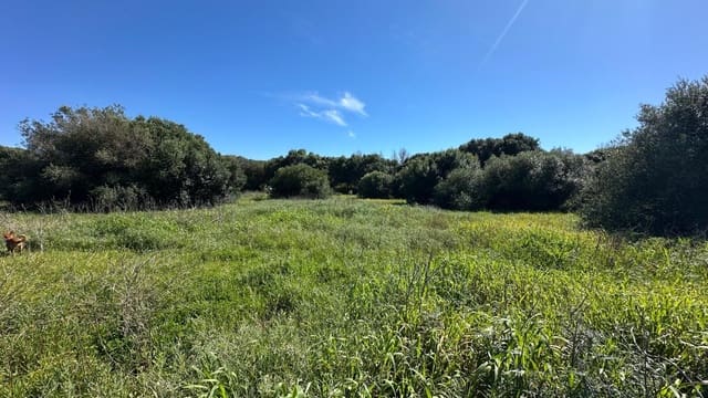 Teren niezagospodarowany na sprzedaż w Zahora, Barbate - 1 100 000 € (Ref: 8900043)