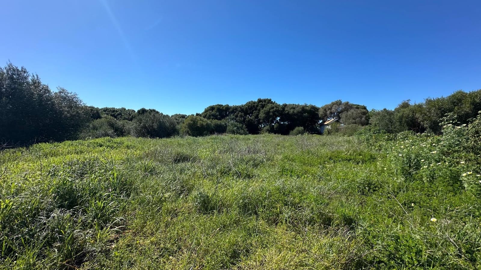 Grunde uden byggetilladelser til salg i Zahora - € 1.100.000 (Ref: 8900043)