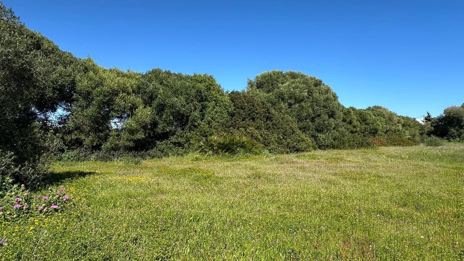 Grunde uden byggetilladelser til salg i Zahora - € 1.100.000 (Ref: 8900043)