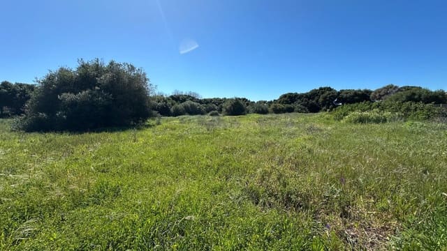 Teren niezagospodarowany na sprzedaż w Zahora, Barbate - 1 100 000 € (Ref: 8900043)