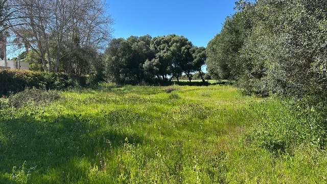 Teren niezagospodarowany na sprzedaż w Zahora, Barbate - 1 100 000 € (Ref: 8900043)