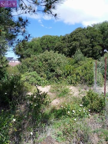 Teren niezagospodarowany na sprzedaż w Zahora, Barbate - 98 900 € (Ref: 8913073)