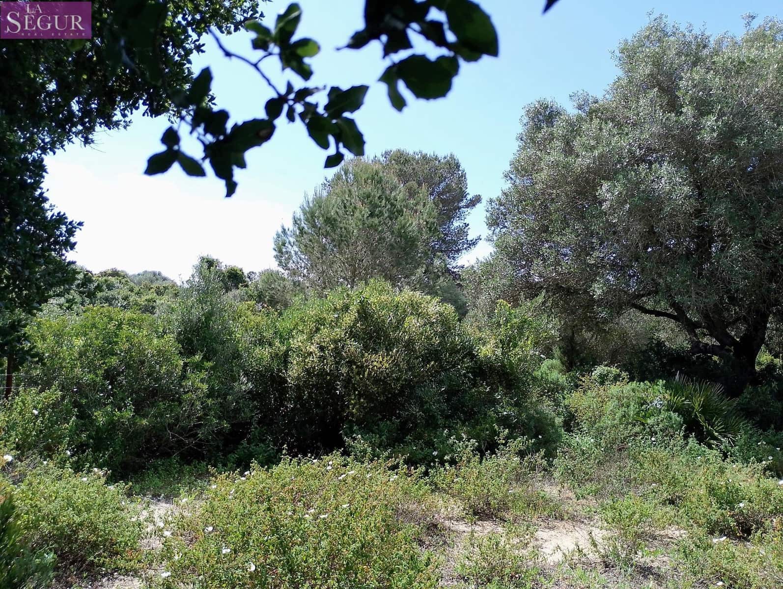 Grunde uden byggetilladelser til salg i Zahora - € 98.900 (Ref: 8913073)