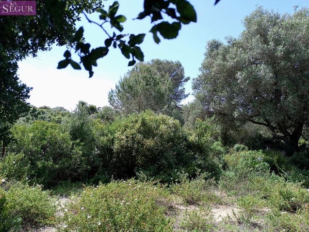 Teren niezagospodarowany na sprzedaż w Zahora, Barbate - 98 900 € (Ref: 8913073)