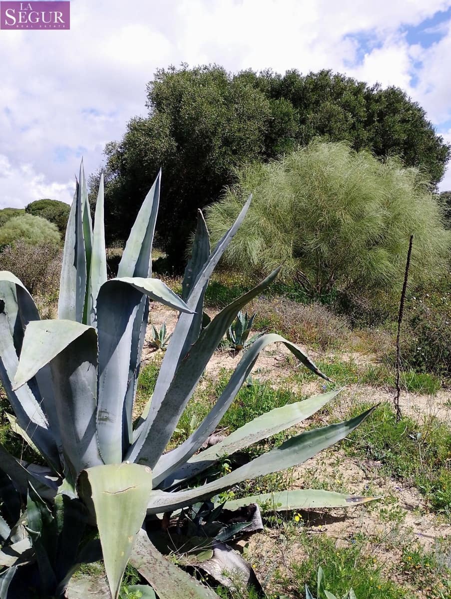 Grunde uden byggetilladelser til salg i Zahora - € 98.900 (Ref: 8913073)