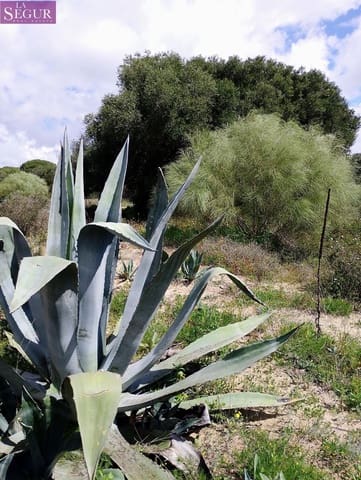 Teren niezagospodarowany na sprzedaż w Zahora, Barbate - 98 900 € (Ref: 8913073)