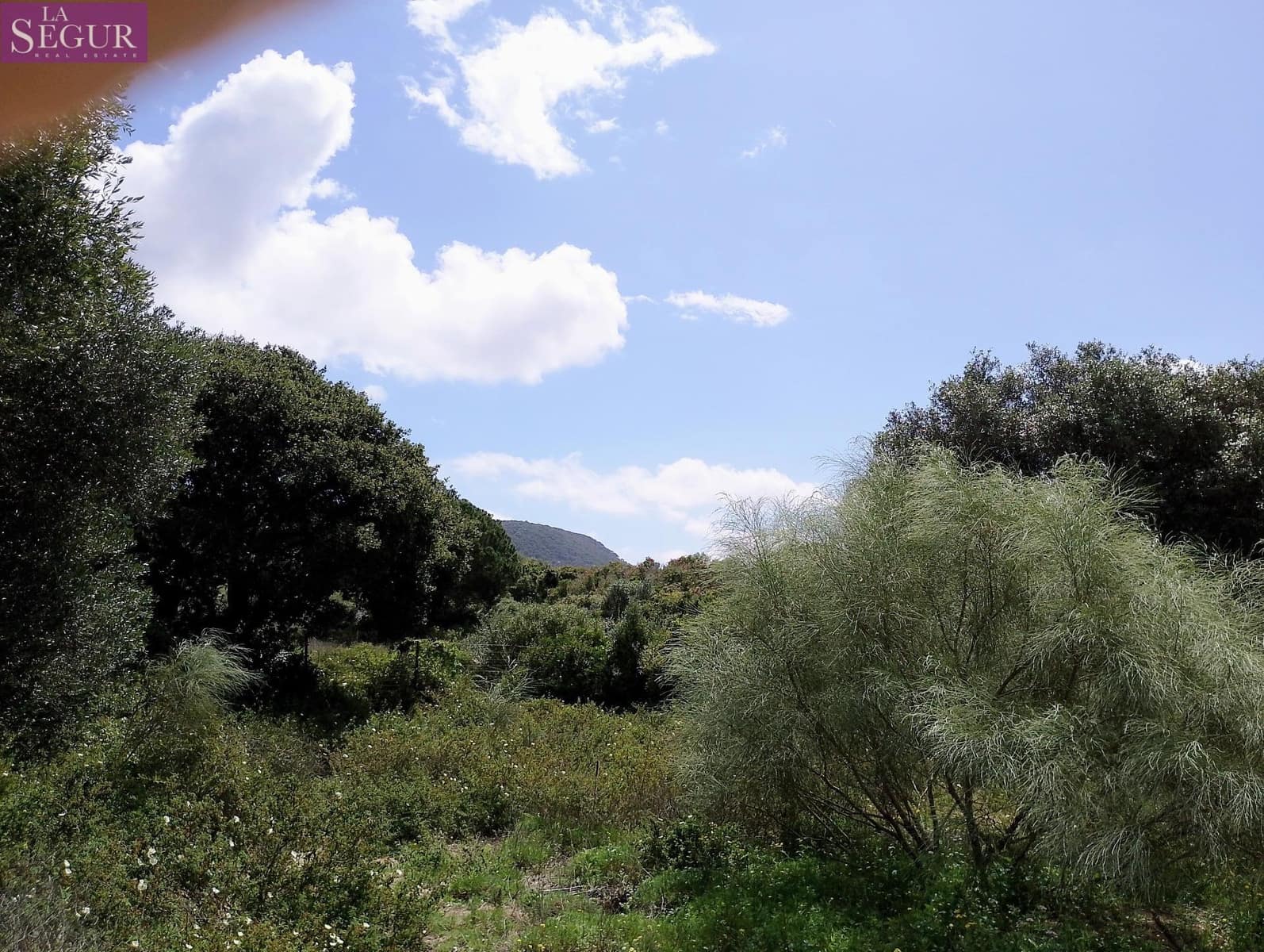 Grunde uden byggetilladelser til salg i Zahora - € 98.900 (Ref: 8913073)