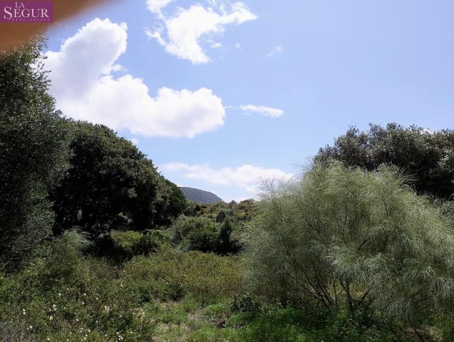 Teren niezagospodarowany na sprzedaż w Zahora, Barbate - 98 900 € (Ref: 8913073)