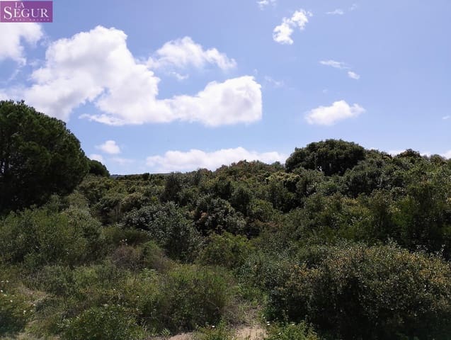 Teren niezagospodarowany na sprzedaż w Zahora, Barbate - 98 900 € (Ref: 8913073)