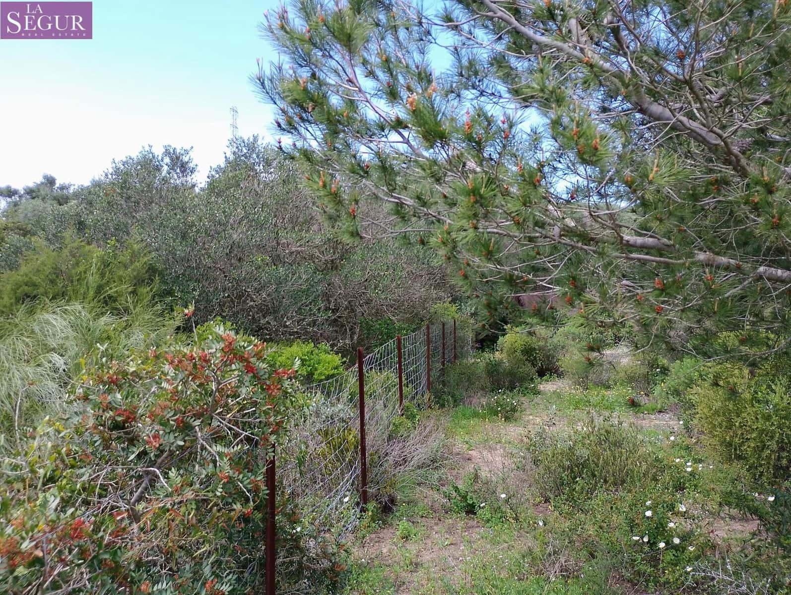 Grunde uden byggetilladelser til salg i Zahora - € 98.900 (Ref: 8913073)