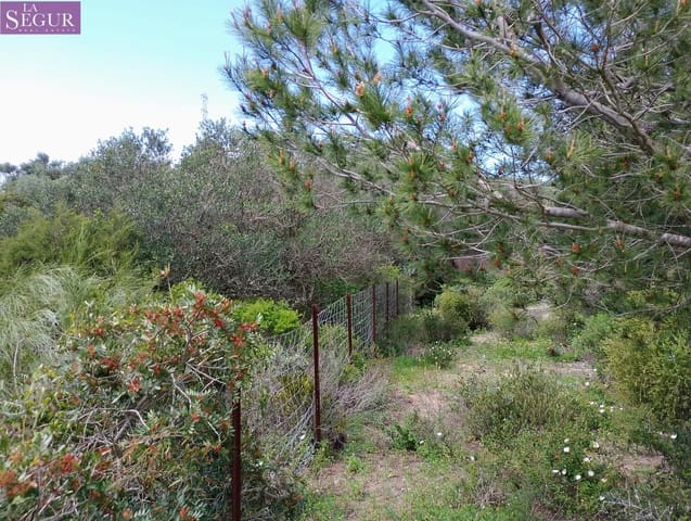 Teren niezagospodarowany na sprzedaż w Zahora, Barbate - 98 900 € (Ref: 8913073)