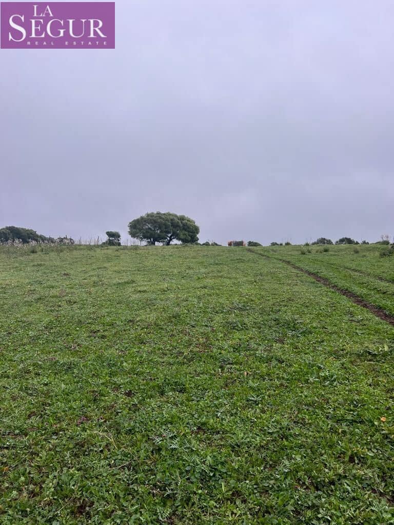 Terrain à Bâtir à vendre à Manzanete - 195 000 € (Ref: 8921492)