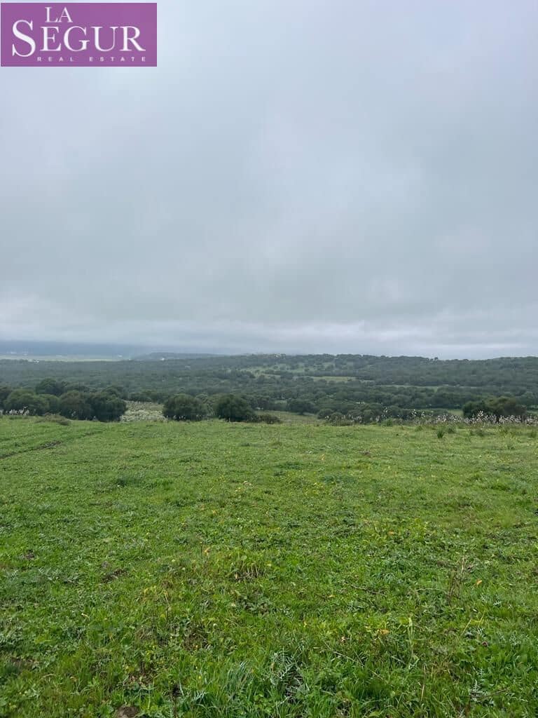 Terrain à Bâtir à vendre à Manzanete - 195 000 € (Ref: 8921492)