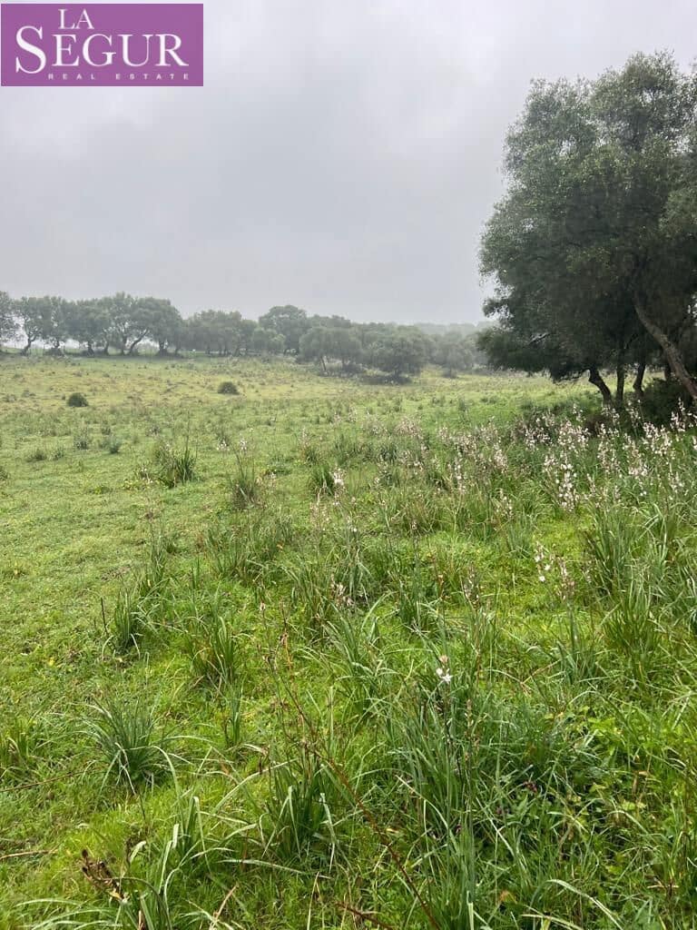 Terrain à Bâtir à vendre à Manzanete - 195 000 € (Ref: 8921492)