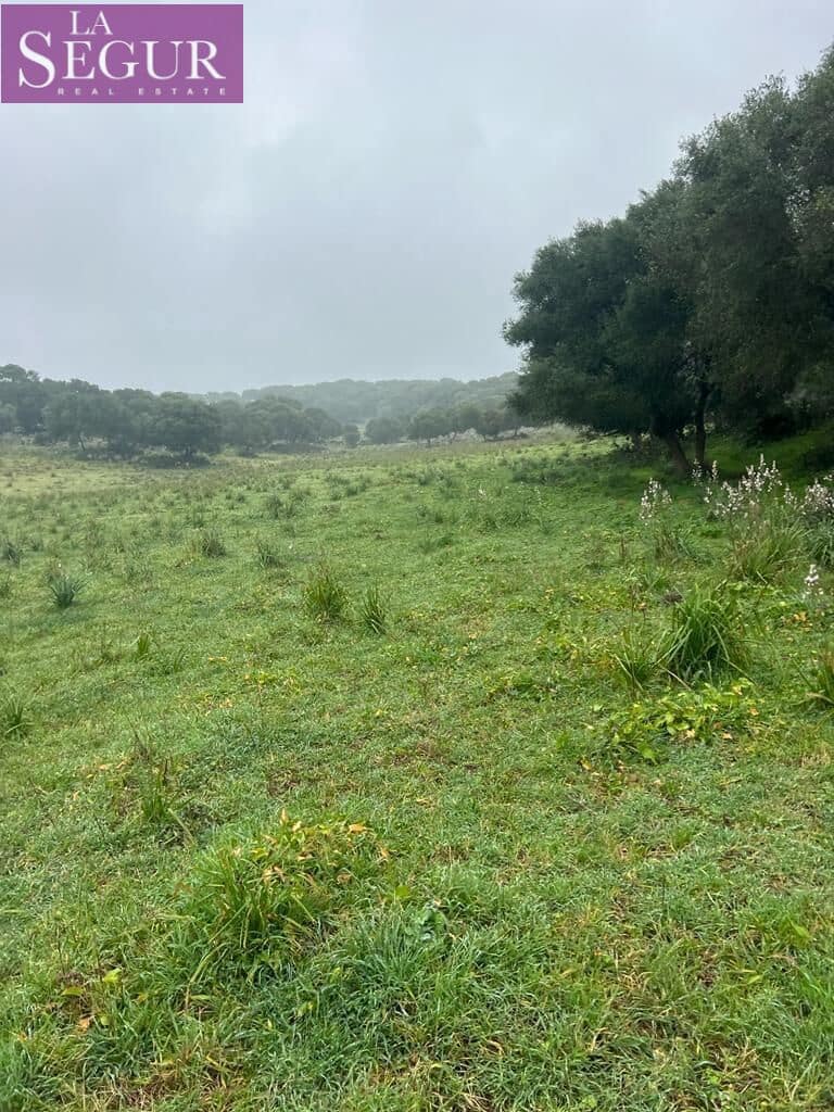 Terrain à Bâtir à vendre à Manzanete - 195 000 € (Ref: 8921492)