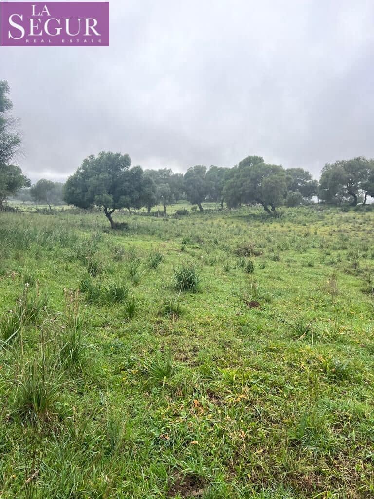 Terrain à Bâtir à vendre à Manzanete - 195 000 € (Ref: 8921492)