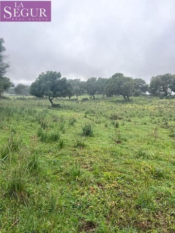 Byggetomt til salgs i Manzanete, Barbate - € 195 000 (Ref: 8921492)