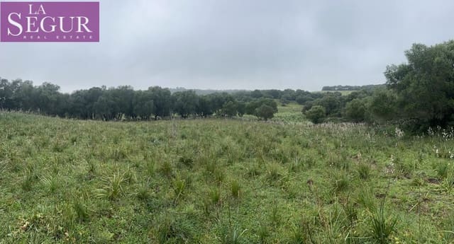 Byggetomt til salgs i Manzanete, Barbate - € 195 000 (Ref: 8921492)