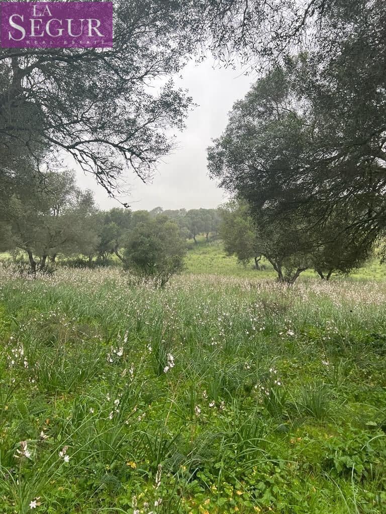 Terrain à Bâtir à vendre à Manzanete - 195 000 € (Ref: 8921492)