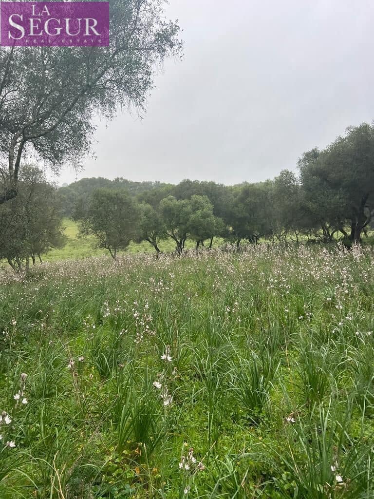 Terrain à Bâtir à vendre à Manzanete - 195 000 € (Ref: 8921492)