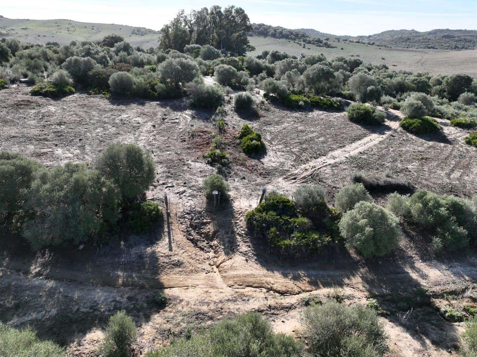 Grunde uden byggetilladelser til salg i Medina-Sidonia - € 177.500 (Ref: 8928916)