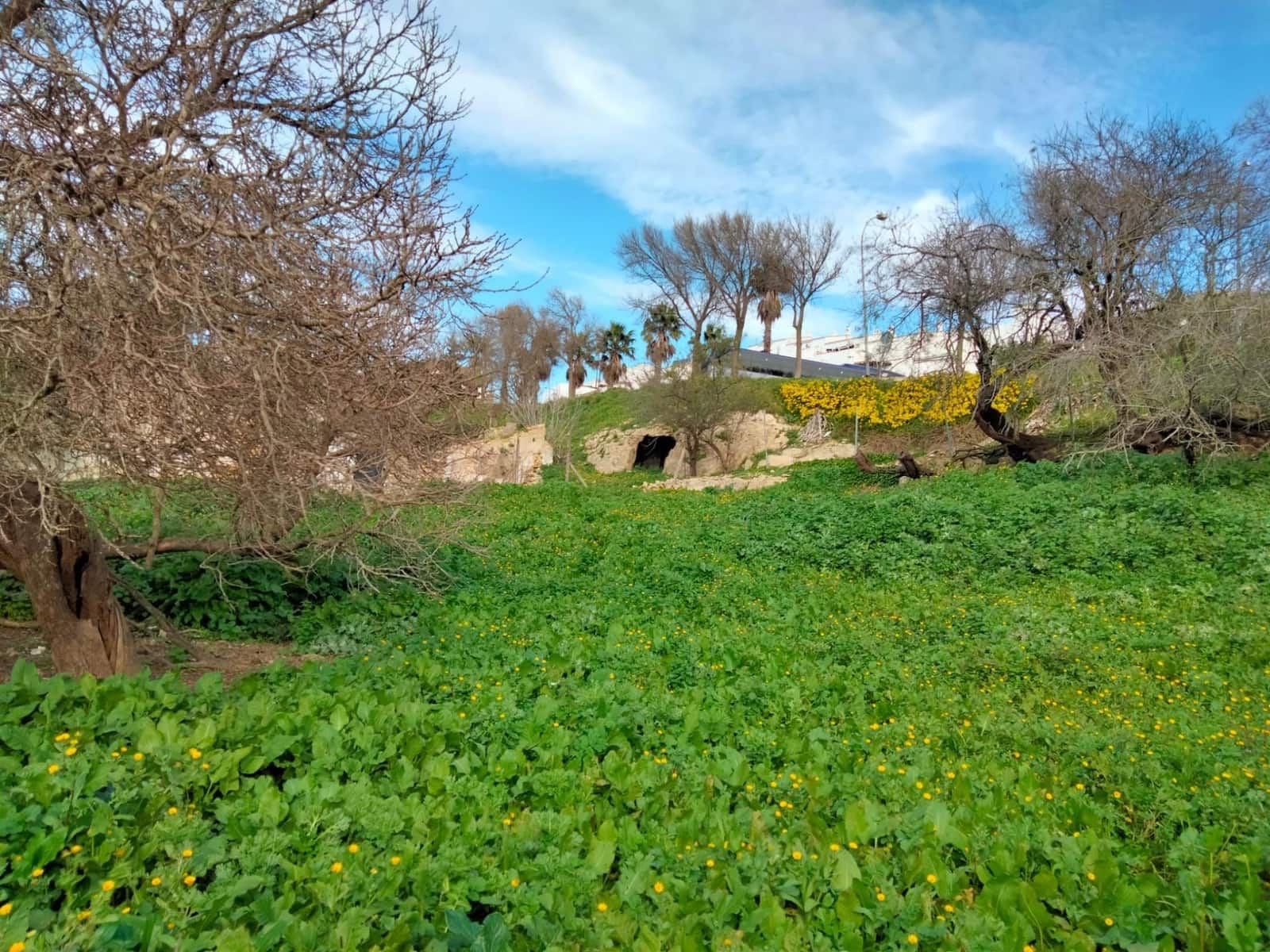 Byggegrund til salg i Medina-Sidonia - € 250.000 (Ref: 8934979)