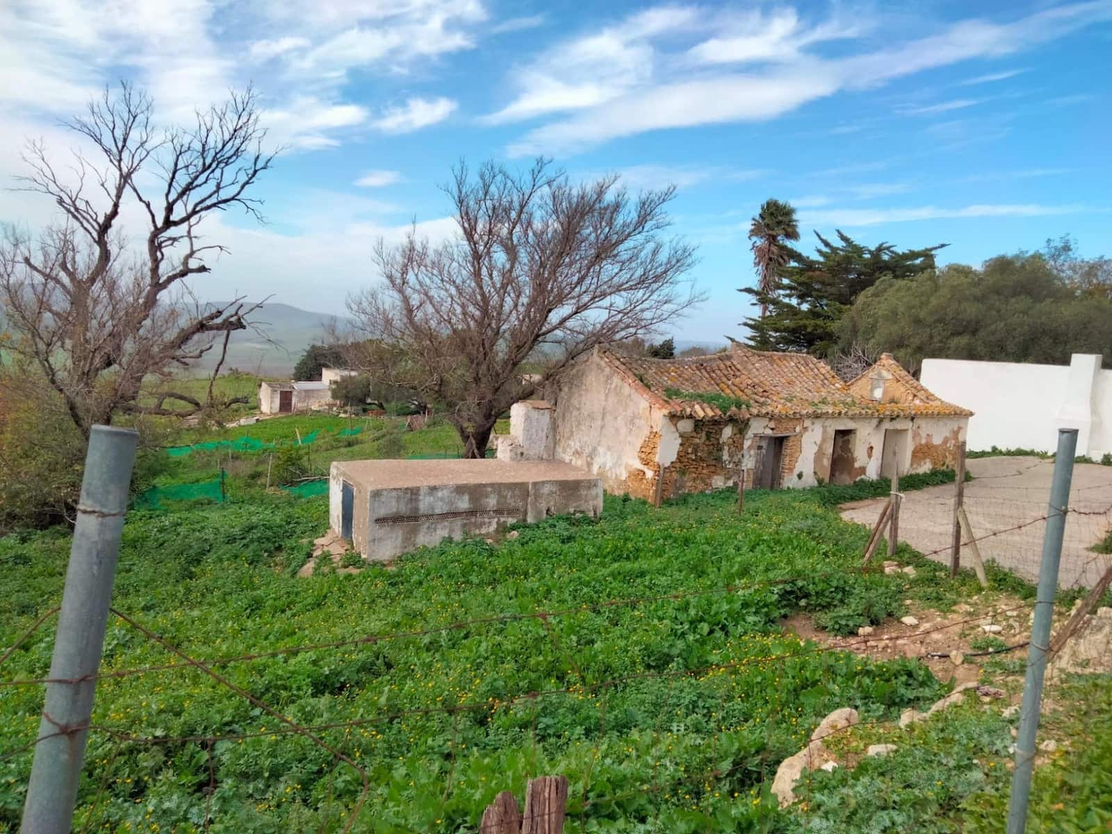 Byggegrund til salg i Medina-Sidonia - € 250.000 (Ref: 8934979)