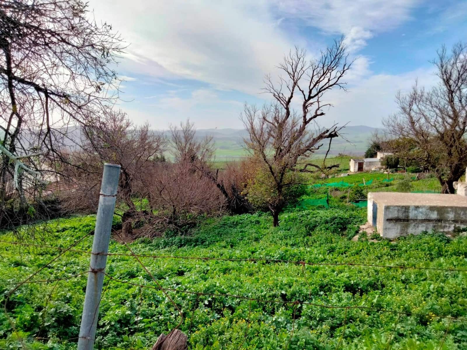 Byggegrund til salg i Medina-Sidonia - € 250.000 (Ref: 8934979)