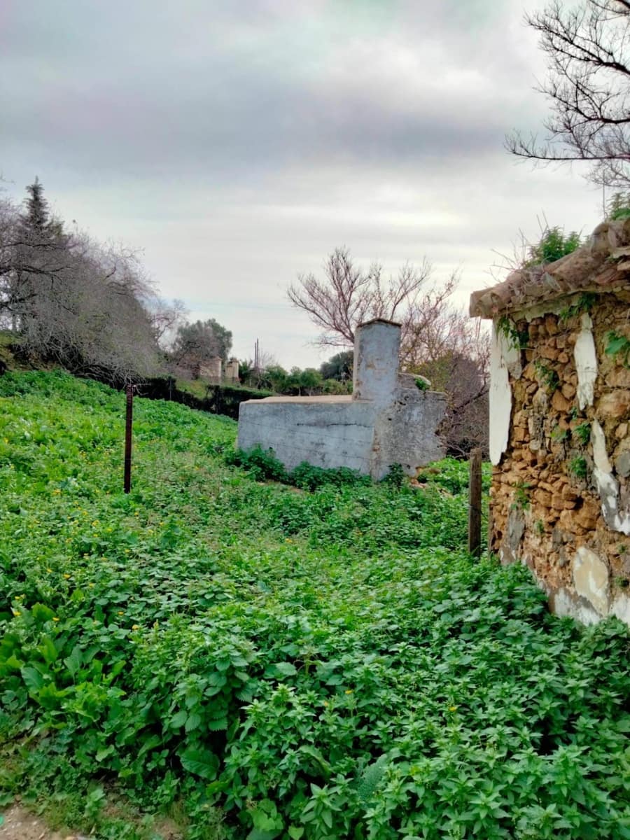 Byggegrund til salg i Medina-Sidonia - € 250.000 (Ref: 8934979)