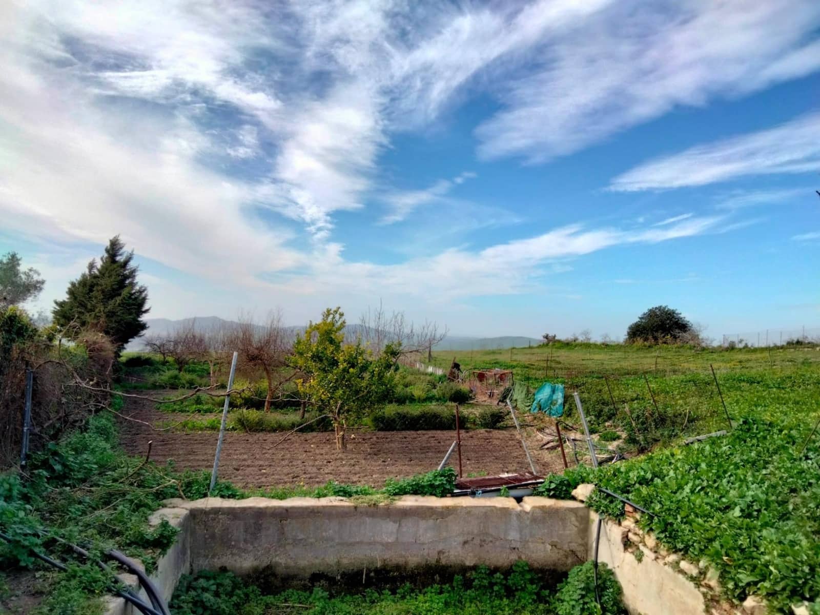 Byggegrund til salg i Medina-Sidonia - € 250.000 (Ref: 8934979)