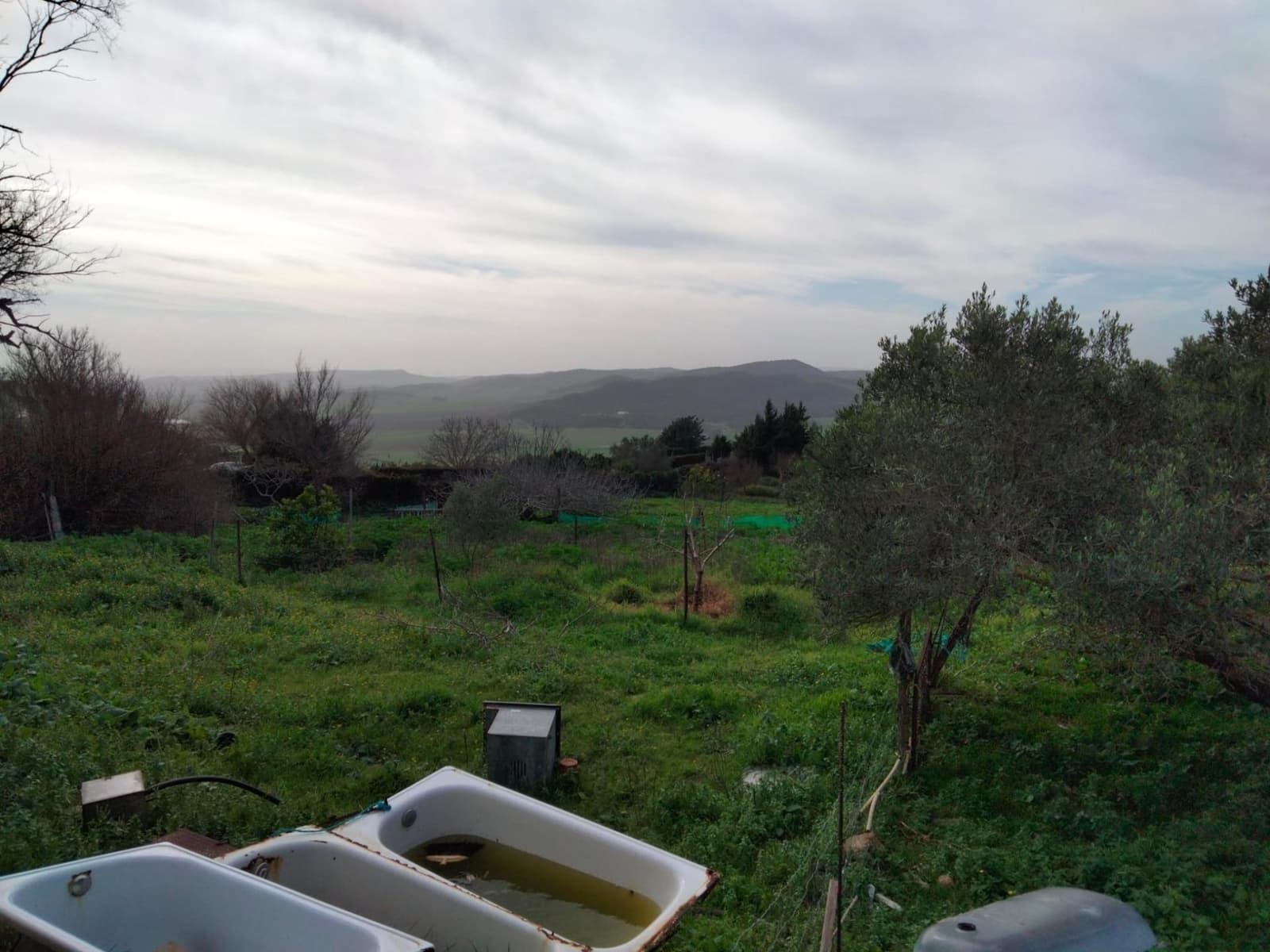 Byggegrund til salg i Medina-Sidonia - € 250.000 (Ref: 8934979)