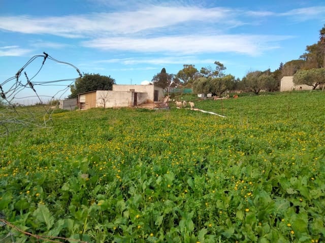 Bauplatz zu verkaufen in Medina-Sidonia - 250.000 € (Ref: 8934979)