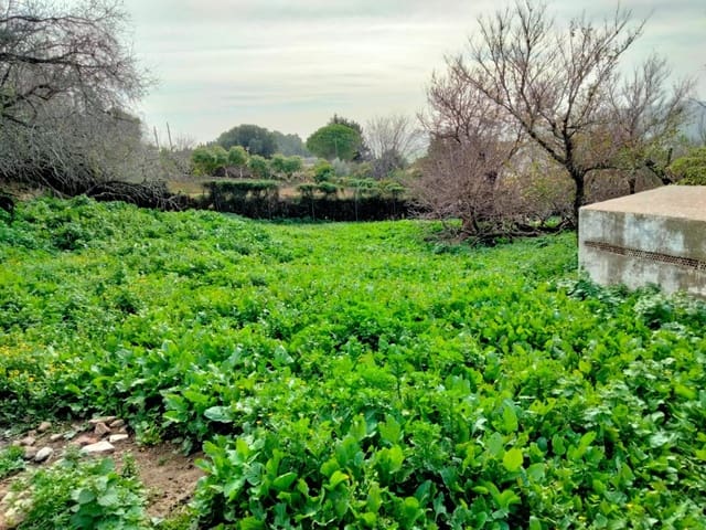 Bauplatz zu verkaufen in Medina-Sidonia - 250.000 € (Ref: 8934979)