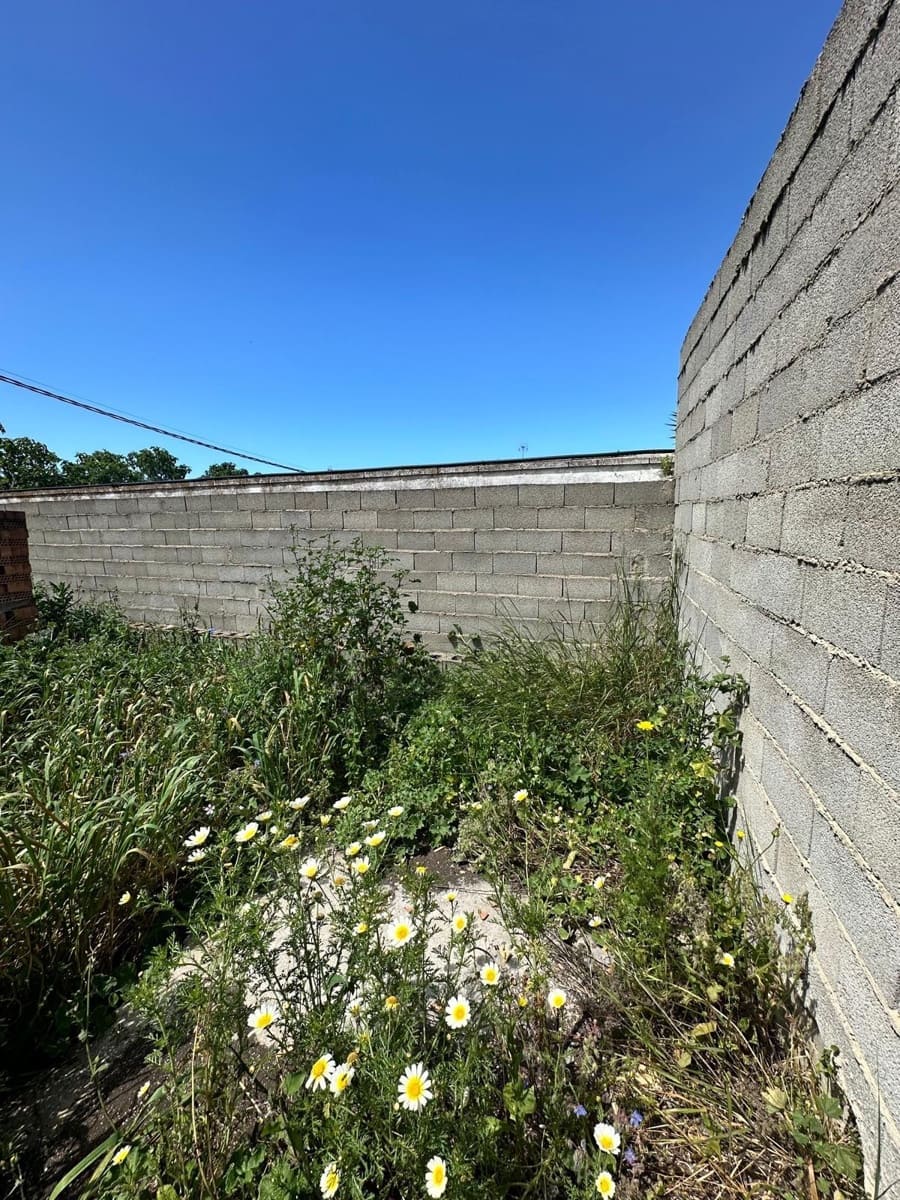 Virksomhed til salg i Conil de la Frontera - € 300.000 (Ref: 8948663)