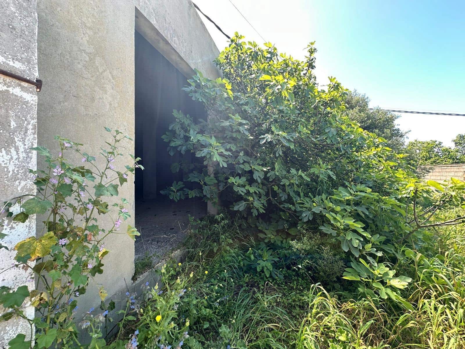 Virksomhed til salg i Conil de la Frontera - € 300.000 (Ref: 8948663)