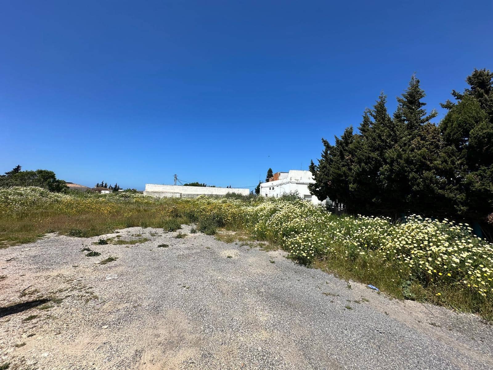 Virksomhed til salg i Conil de la Frontera - € 300.000 (Ref: 8948663)