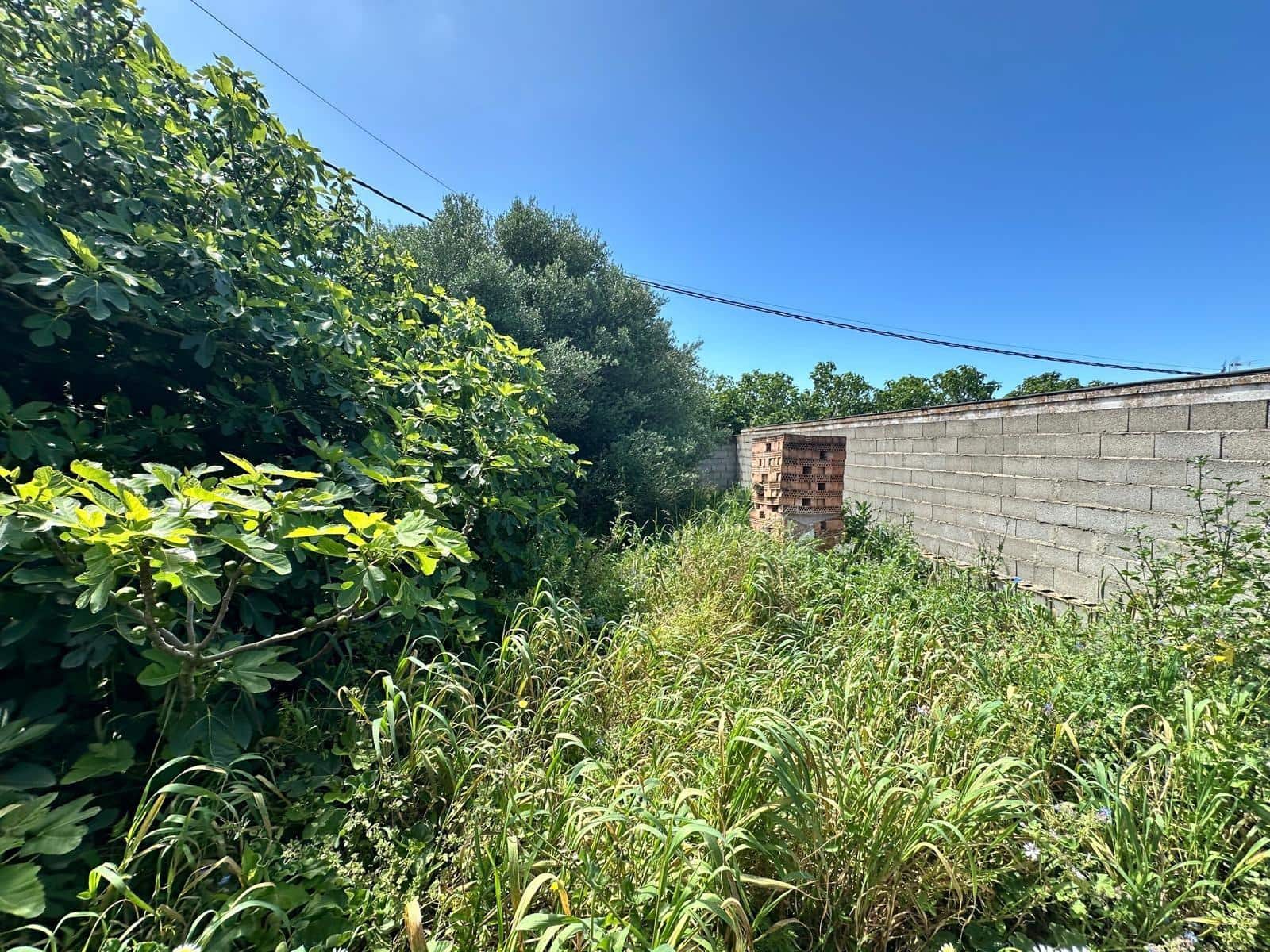 Virksomhed til salg i Conil de la Frontera - € 300.000 (Ref: 8948663)