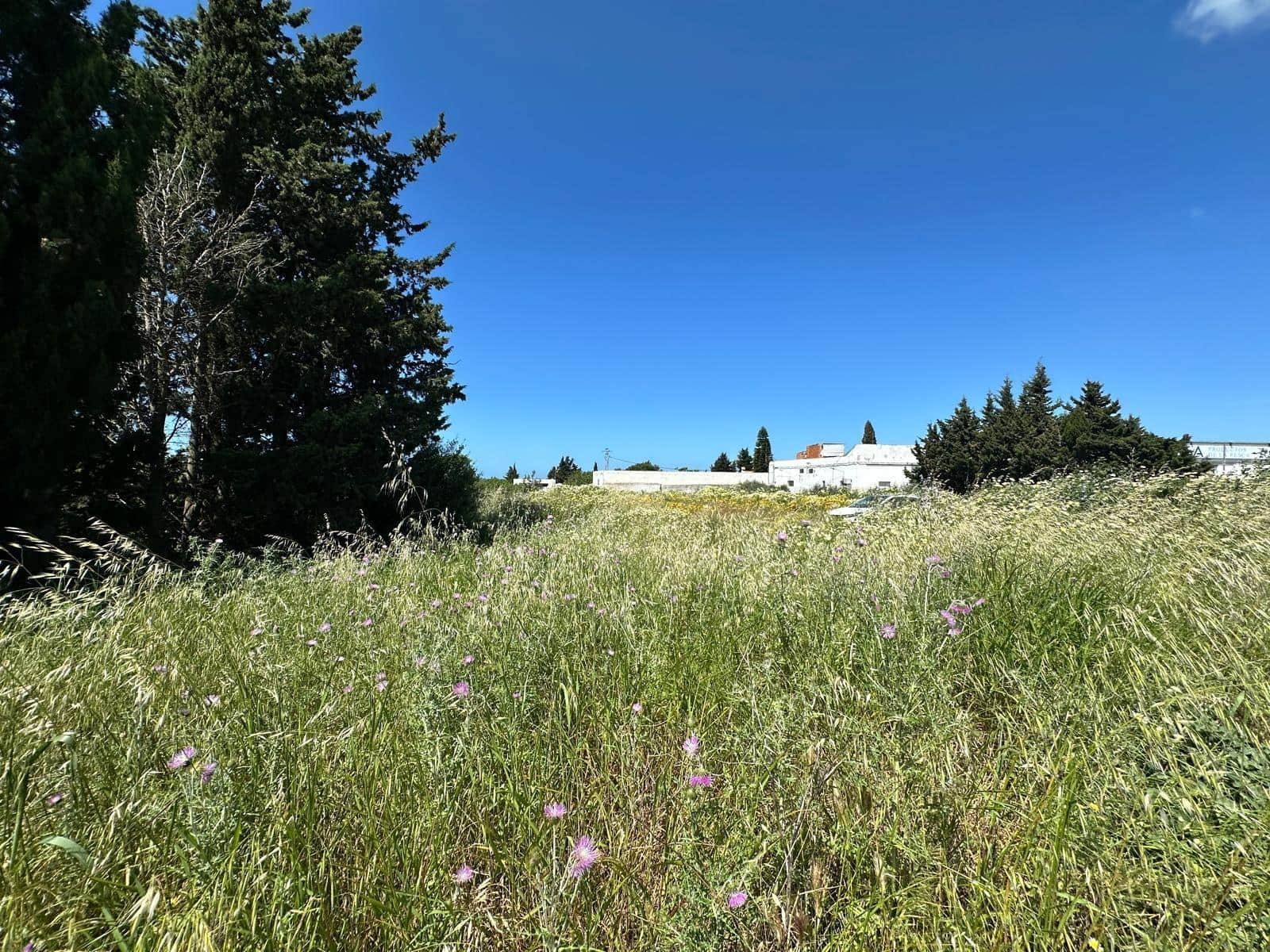 Virksomhed til salg i Conil de la Frontera - € 300.000 (Ref: 8948663)