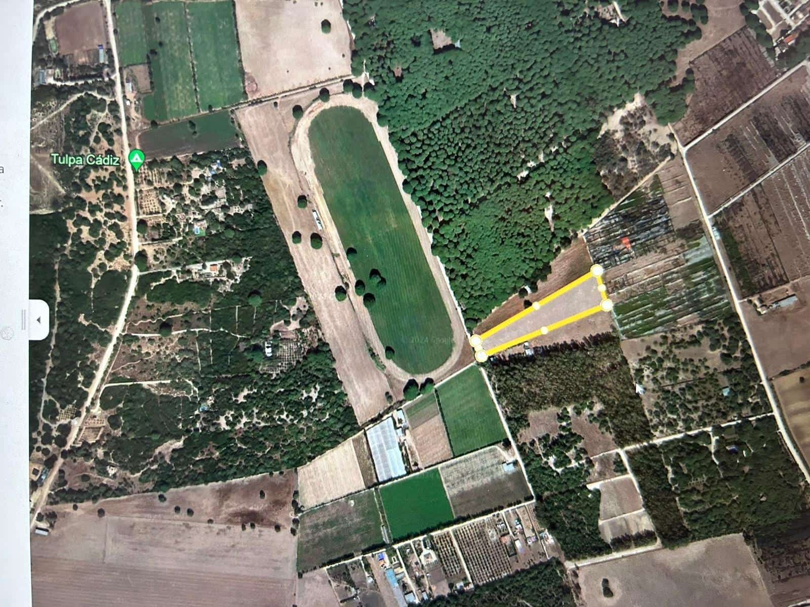 Byggegrund til salg i Medina-Sidonia - € 95.000 (Ref: 9005420)