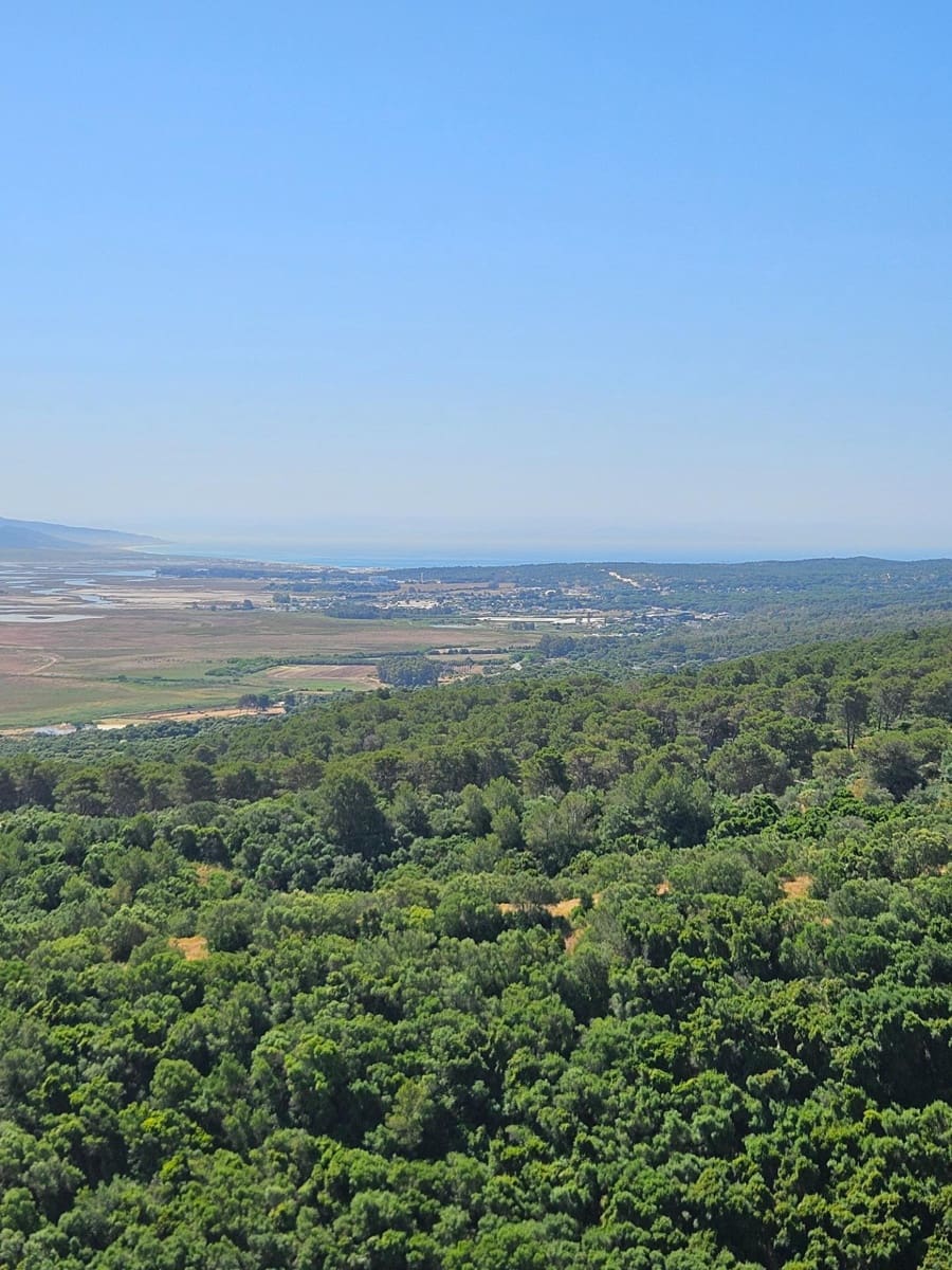 3 bedroom Townhouse for sale in Vejer de la Frontera - € 250,000 (Ref: 9005422)