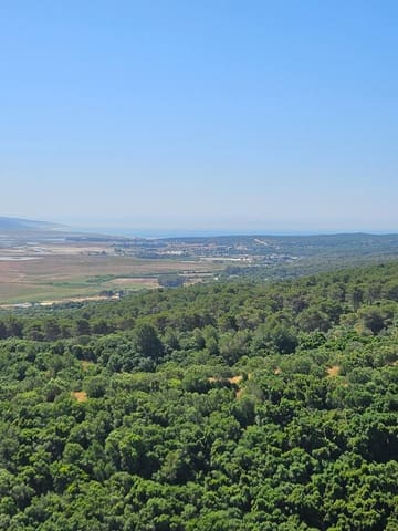 Casa de 3 habitaciones en Vejer de la Frontera en venta - 250.000 € (Ref: 9005422)