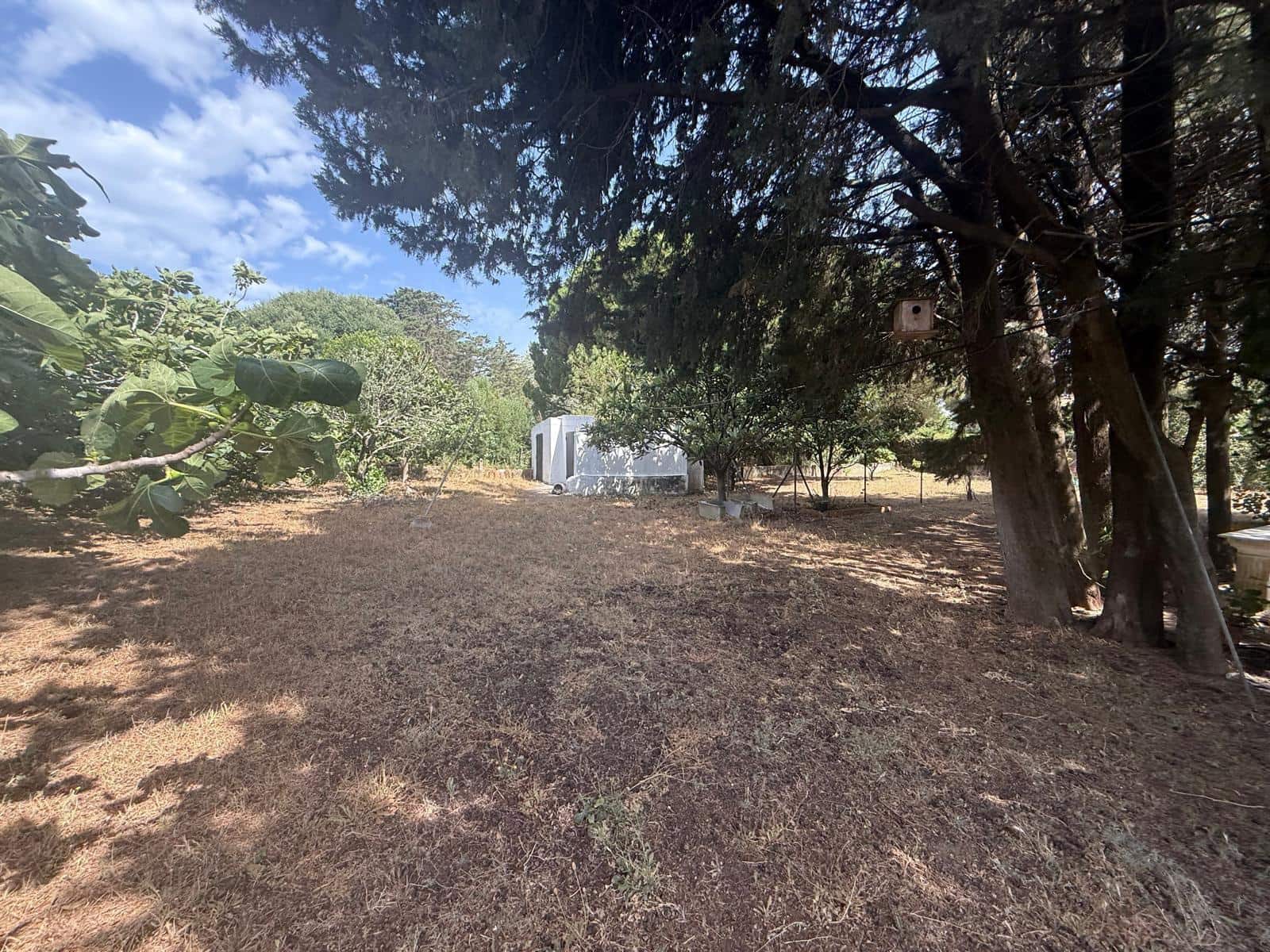 2 soveværelse Finca/Landehus til salg i Vejer de la Frontera - € 500.000 (Ref: 9068745)