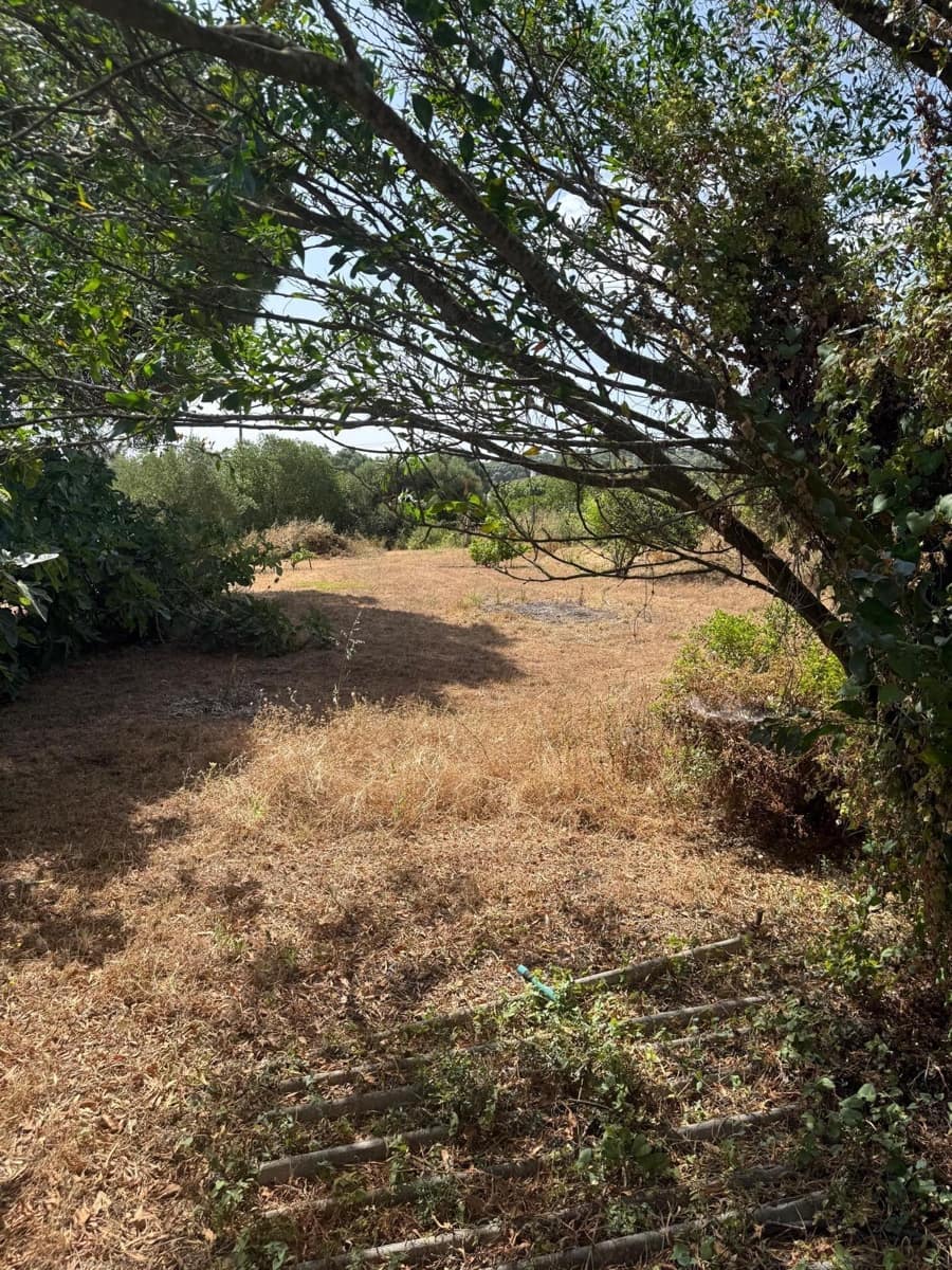 2 camera da letto Finca/Casa di Campagna in vendita in Vejer de la Frontera - 500.000 € (Rif: 9068745)